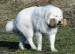 DSC00602[1]